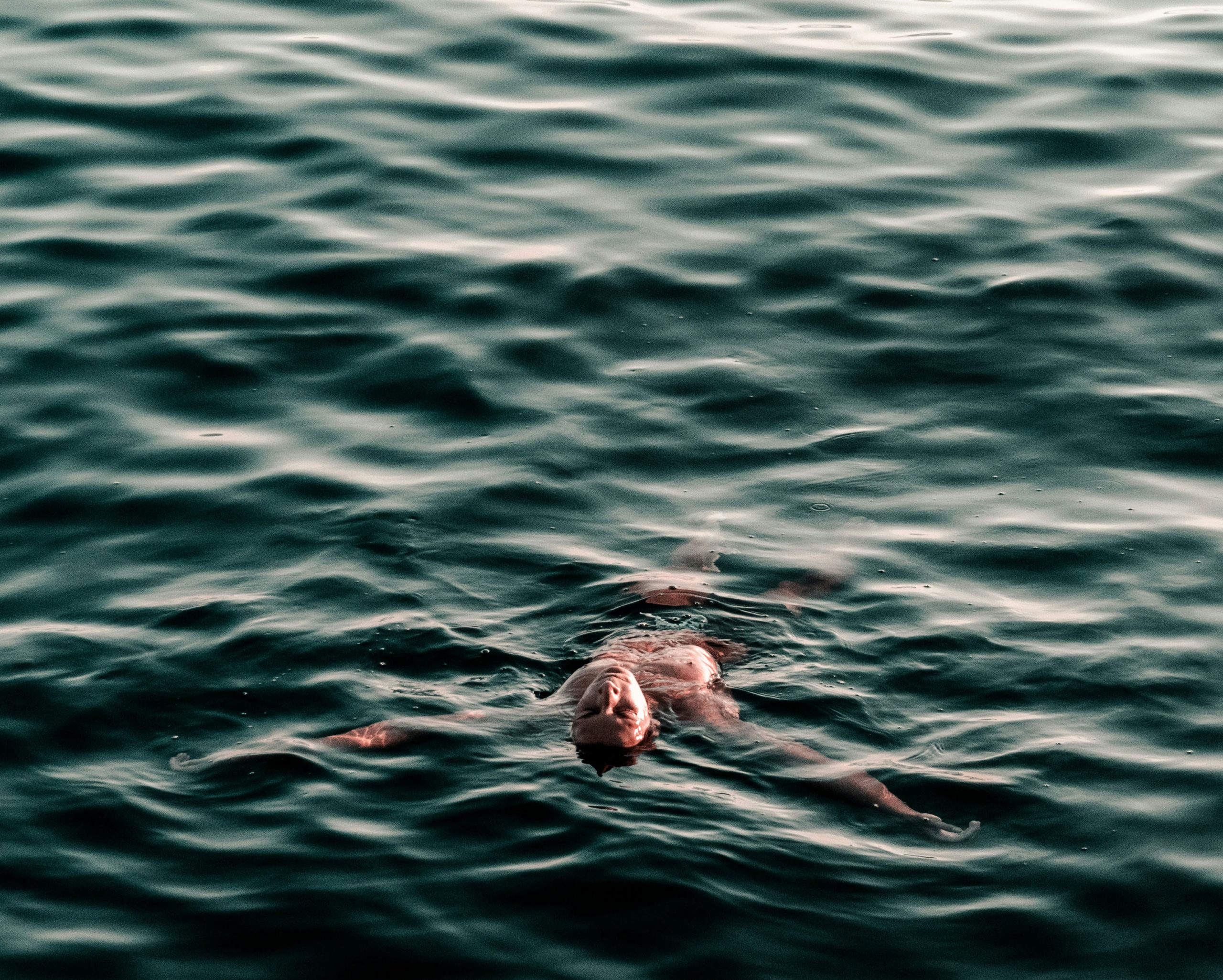 david-boca-NIDyzN3mJpk-unsplash
